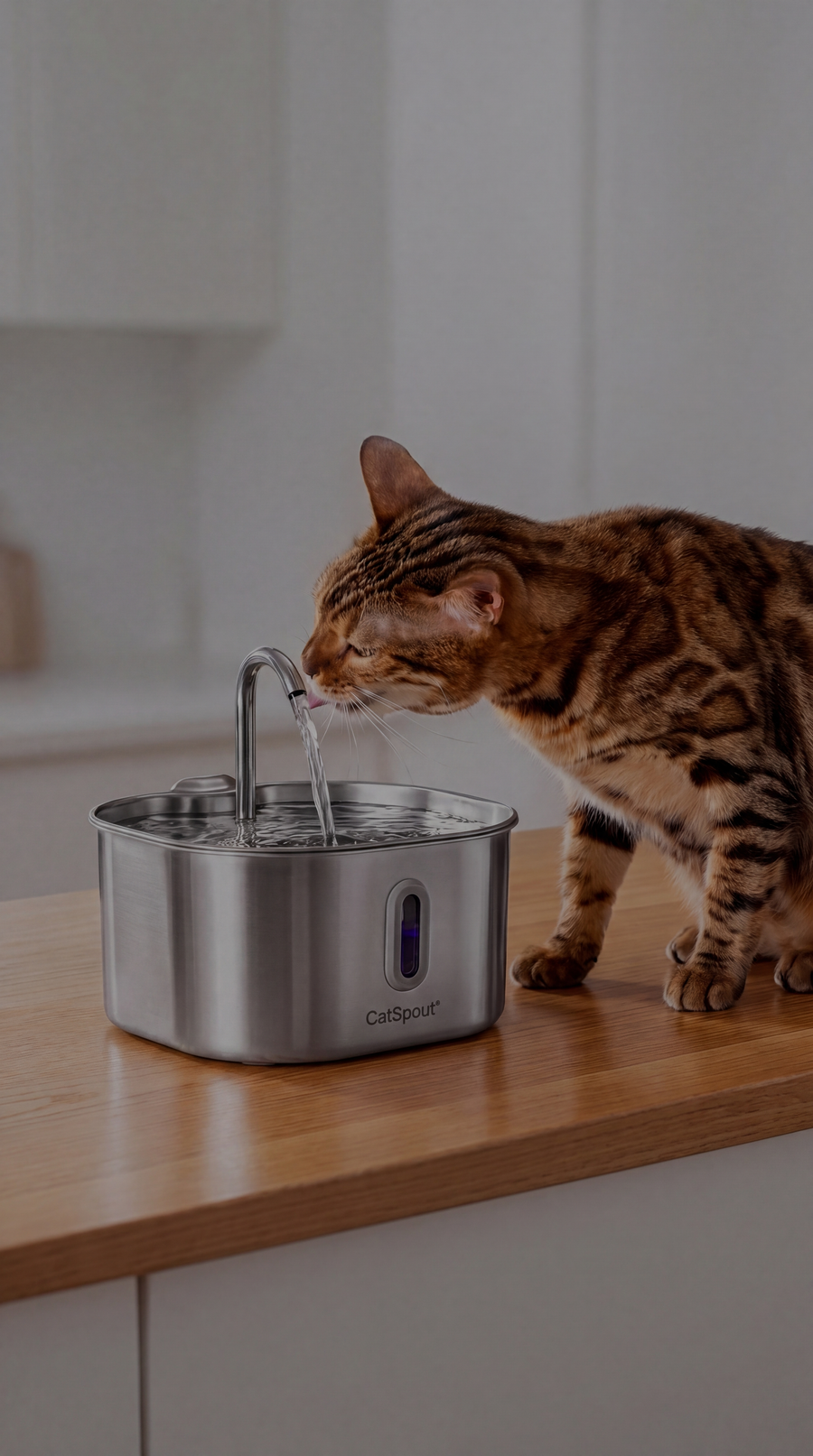 CatSpout Hero