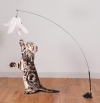 Katzenspielzeug